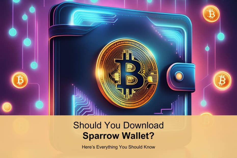 Should you download the sparrow wallet