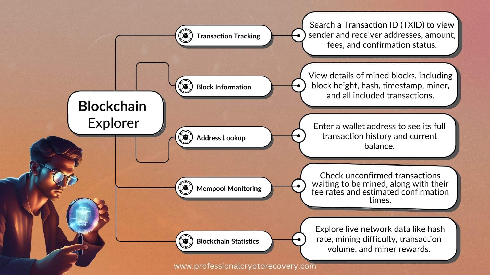 Blockchain Explorer Features